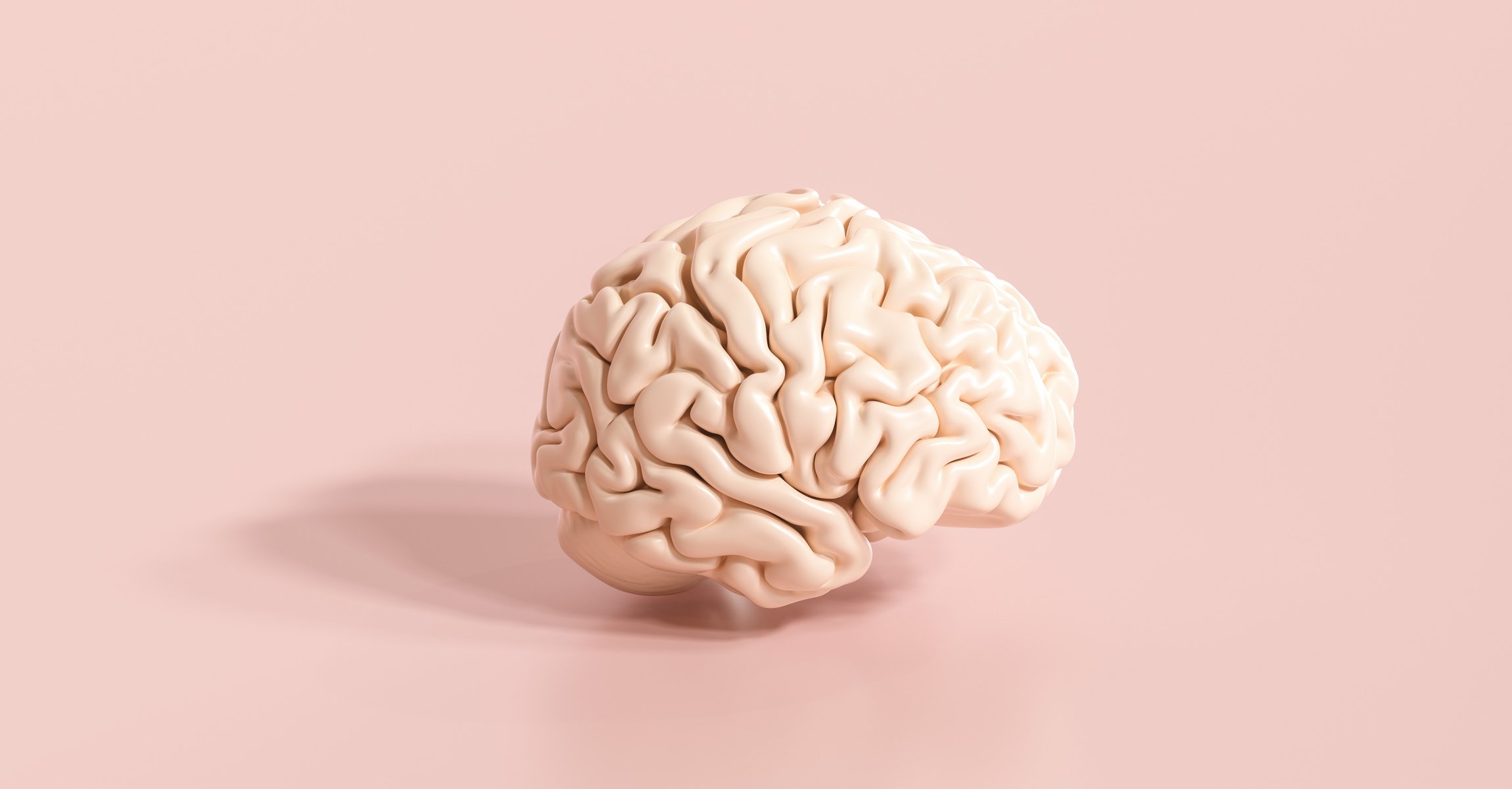 Brain on Pink Background